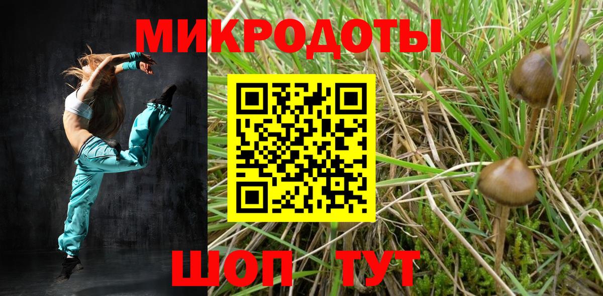 Дмитров  Псилоцибиновые грибы MAGIC MUSHROOMS  сколько стоит  Вход с VPN 