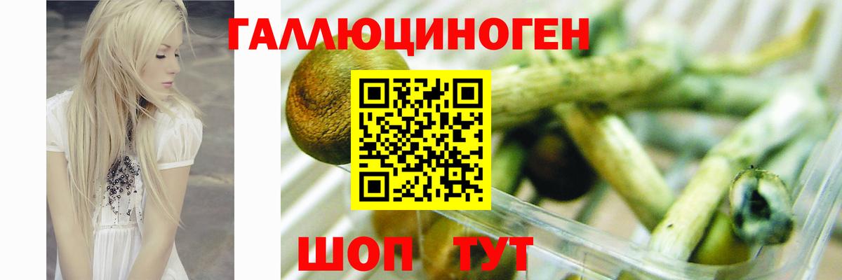 COCAIN  A PVP СК кристаллы  ГАШИШ  Дмитров  Гашиш  Каннабис  Вход с VPN  МЕФ  